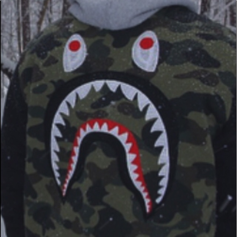 Bathing Ape Jacket - image 2